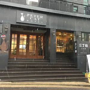 3* Отель Petercat Shinchon